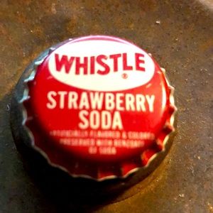 Whistle Strawberry Soda Magnet